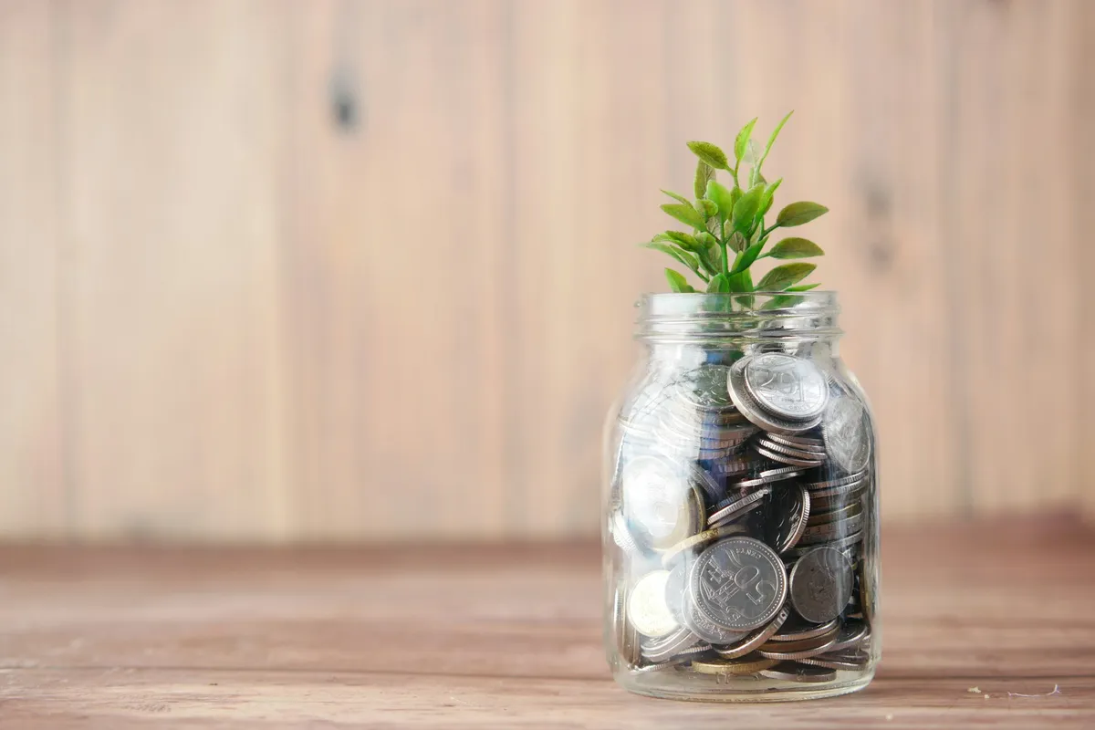 A glass jar of coins with a small plant growing from it, on a wooden table, symbolizing everyday tax-free saving.